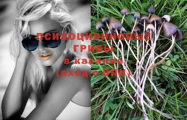 ECSTASY Алексин